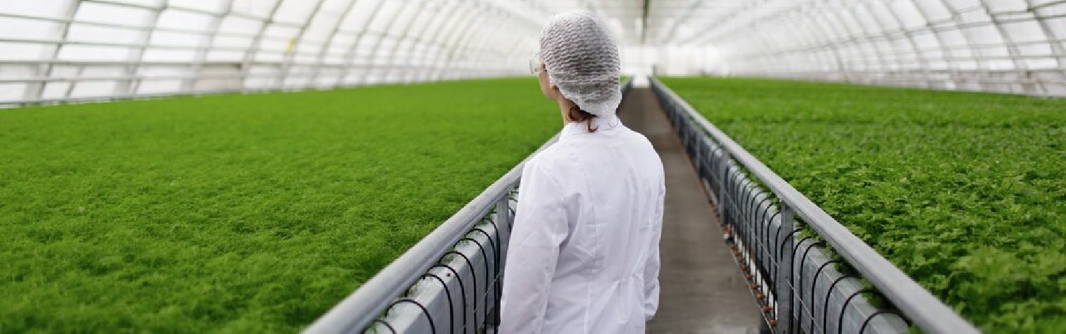 首页-BB视讯厅真人官方网站