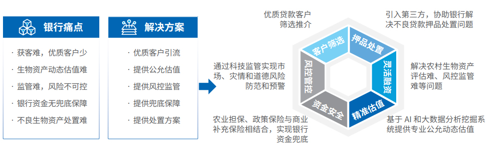 首页-BB视讯厅真人官方网站