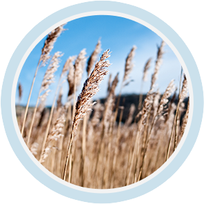 首页-BB视讯厅真人官方网站