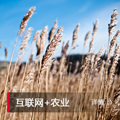 首页-BB视讯厅真人官方网站