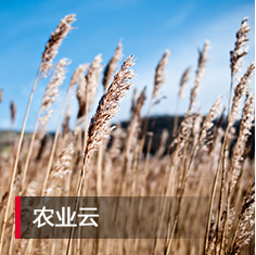 首页-BB视讯厅真人官方网站